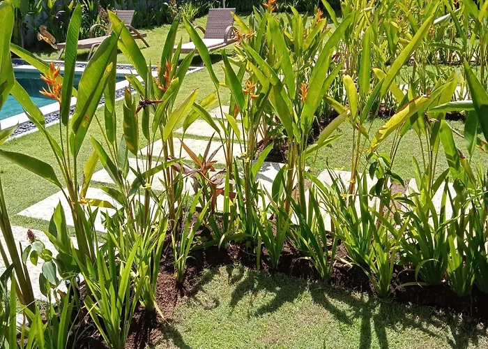 Parama Balangan *